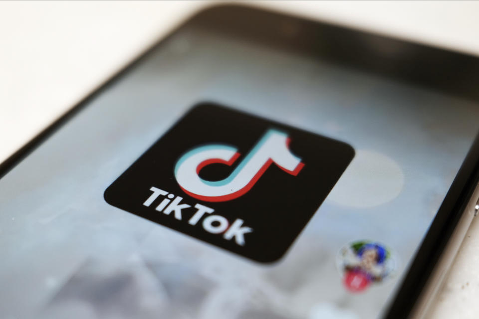 A quick search on TikTok turns up videos with contents such as “how rich people write-off their dogs on taxes'' and “how you can be non-taxable.”