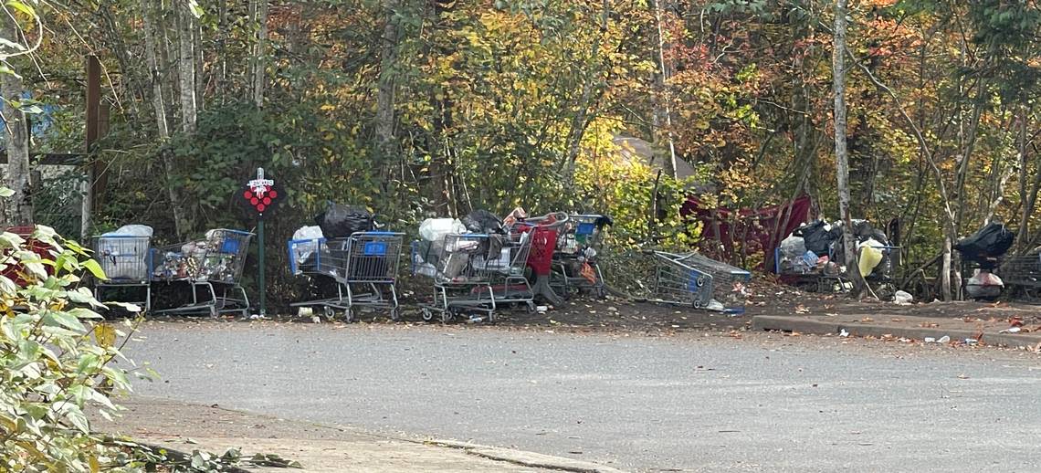 Shopping carts and tents are seen at the entrance to the homeless encampment behind Walmart on Oct. 8, 2023, in Bellingham, Wash. The encampment is located in a large, heavily wooded area.