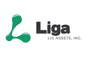 LIG Assets, Inc.