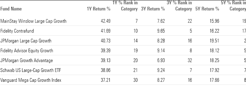 Table of long-term returns for the best performing large growth funds.