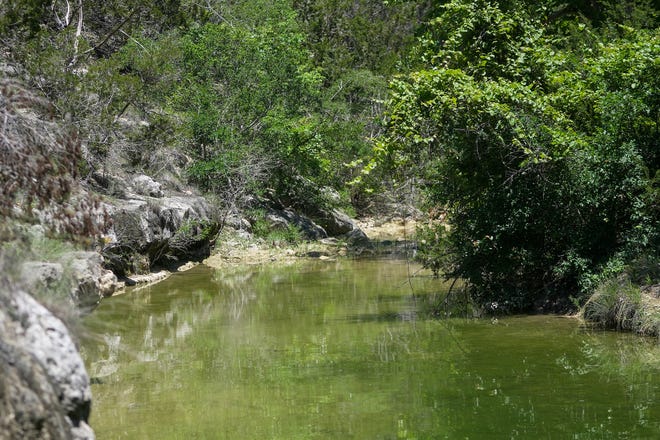 The view of Lick Creek on Tuesday, May 14, 2024. Travis County recently purchased the Castletop property for $40 million by using funds from the parks bond approved by voters last year. In lieu of housing, the property will be converted into parkland adjacent to Milton Reimers Ranch Park.
