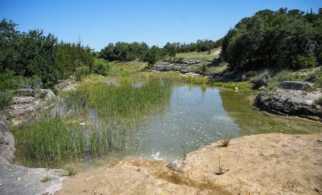 The view of Lick Creek on Tuesday, May 14, 2024. Travis County recently purchased the Castletop property for $40 million by using funds from the parks bond approved by voters last year. In lieu of housing, the property will be converted into parkland adjacent to Milton Reimers Ranch Park.