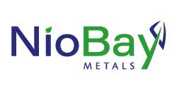 NioBay Metals Inc.