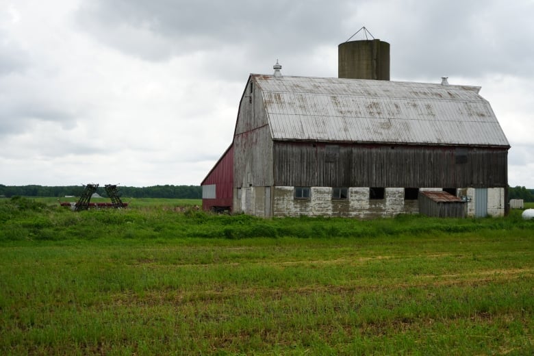 An old, weather-beaten barn southwest of London, Ont. 
