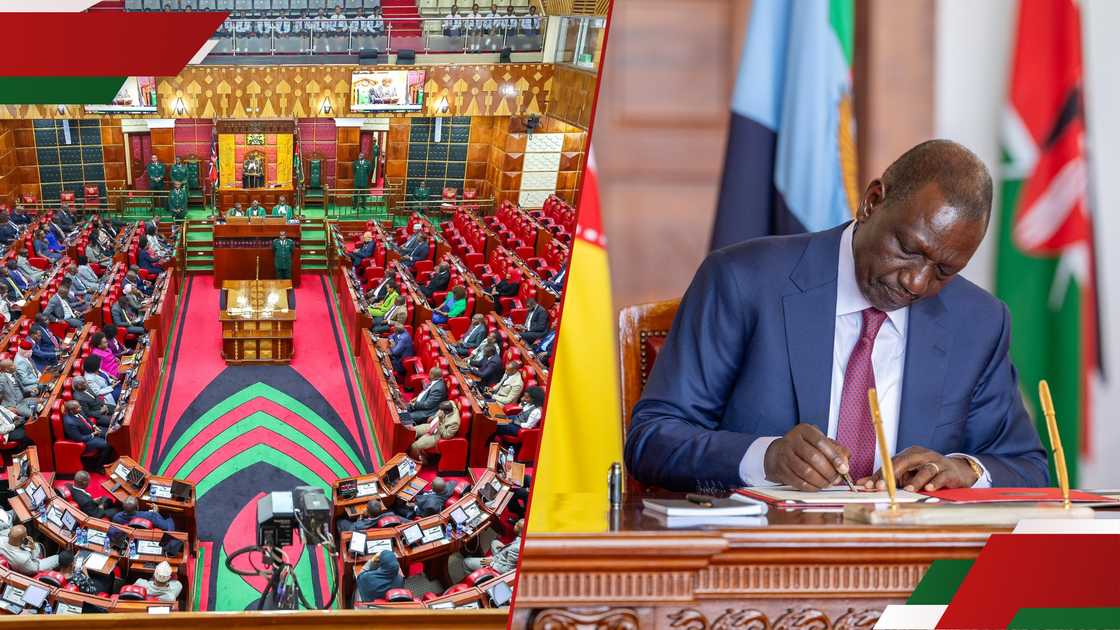 Finance Bill 2025. Finance Bill 2025.