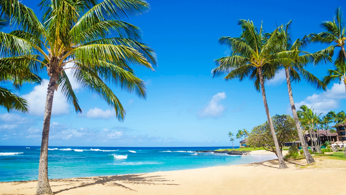 New legislation in Hawaii would raise tourist tax rates to 11% by next year, generating revenue for climate resilience efforts, the state says.