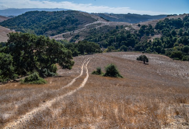 Part of the 1,340-acre Pescadero Ranch south of Gilroy, Calif., on Thursday, Oct. 24, 2024. The Peninsula Open Space Trust, a Palo Alto environmental group, purchased the scenic property along Santa Clara County's southern border for $15.6 million. (Doug Duran/Bay Area News Group)