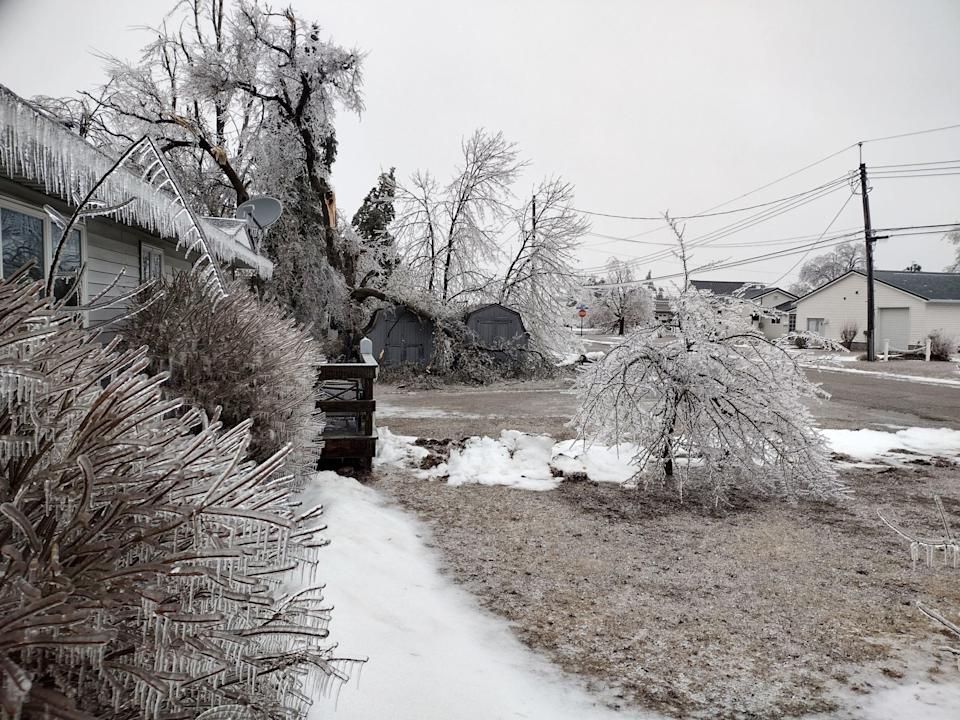 Ice damaged trees and power lines are seen in Gaylord on Sunday, March 30, 2025.