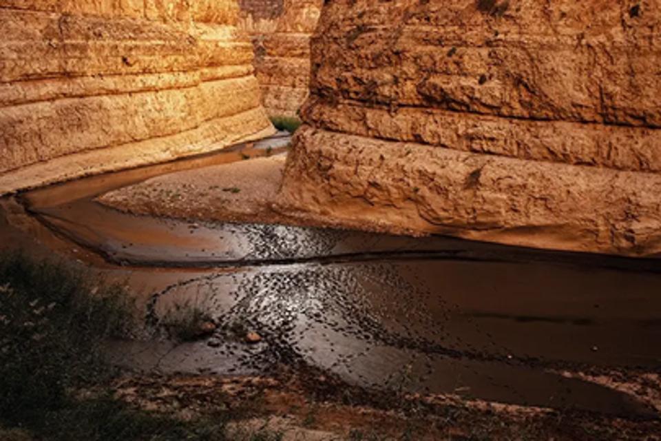 Polluted Waterway because of phosphate mining.