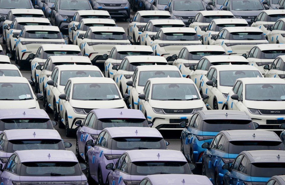 Numerous white and purple BYD electric vehicles parked in a lot.