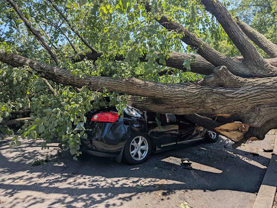 A car was crushed by a tree on F. C. Greene Memorial Boulevard in Providence's Roger Williams Park during the severe storm that hit Rhode Island on July 3.